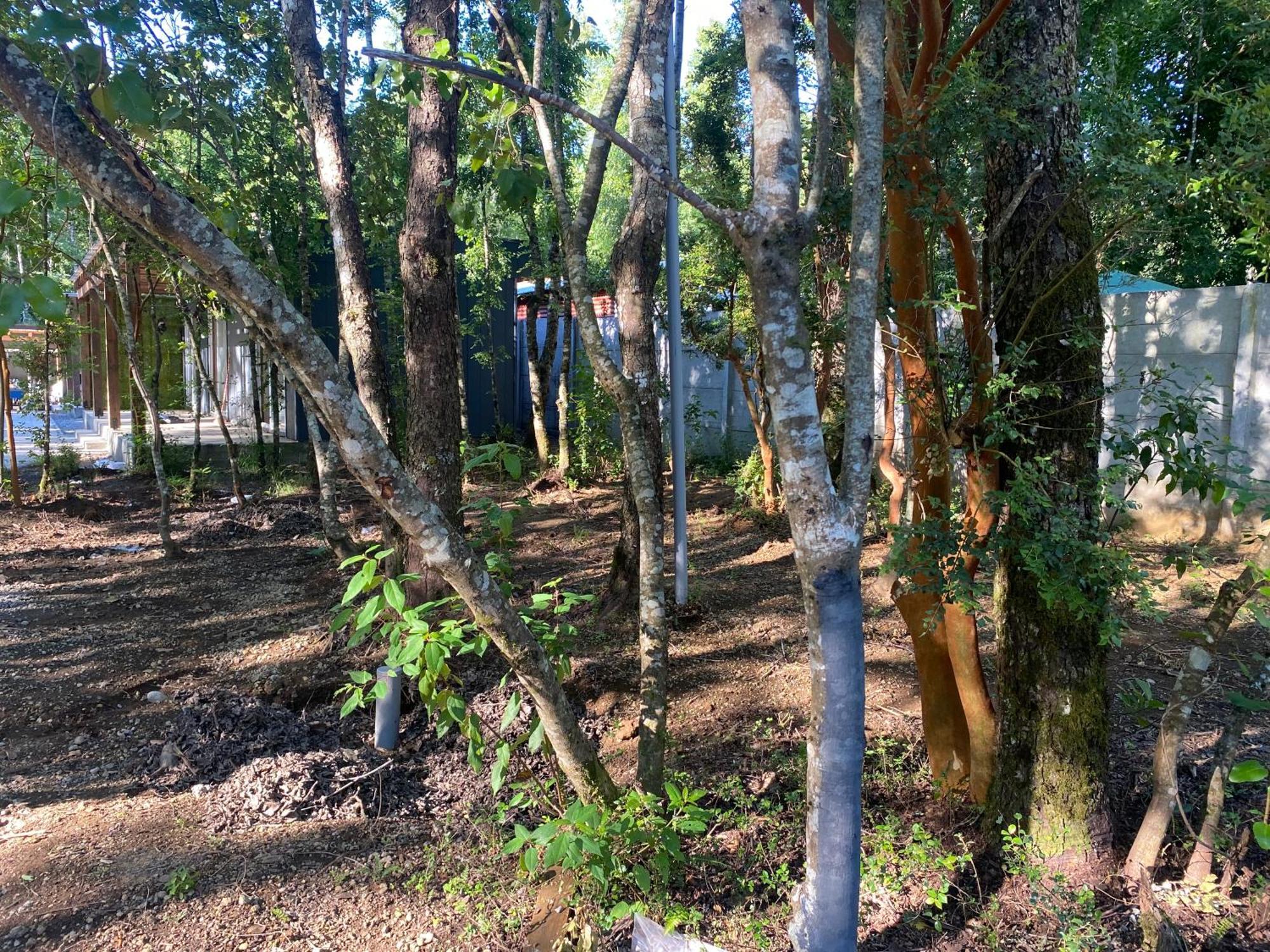 Boker Tov Pucon Hotel Luaran gambar
