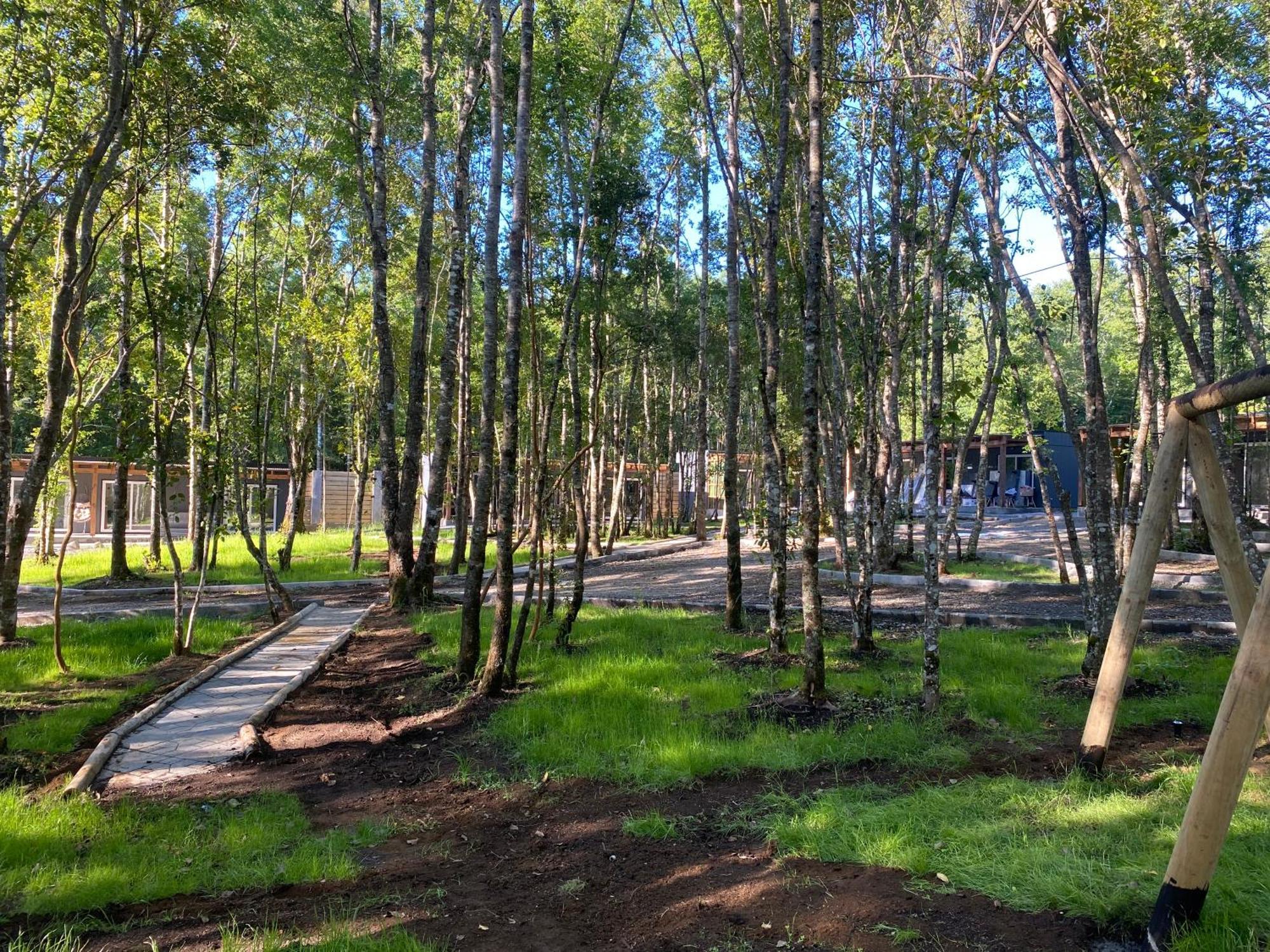 Boker Tov Pucon Hotel Luaran gambar