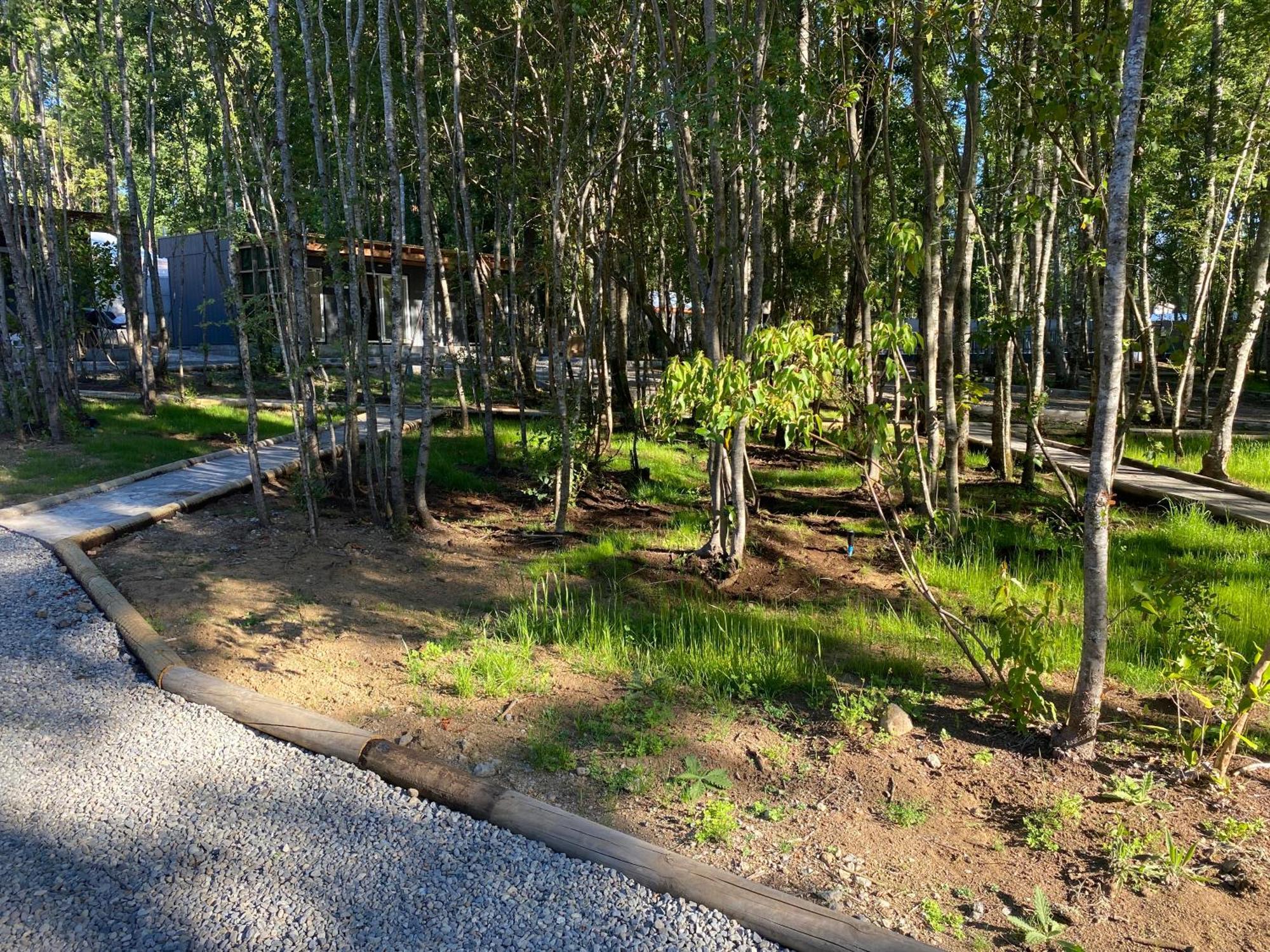 Boker Tov Pucon Hotel Luaran gambar