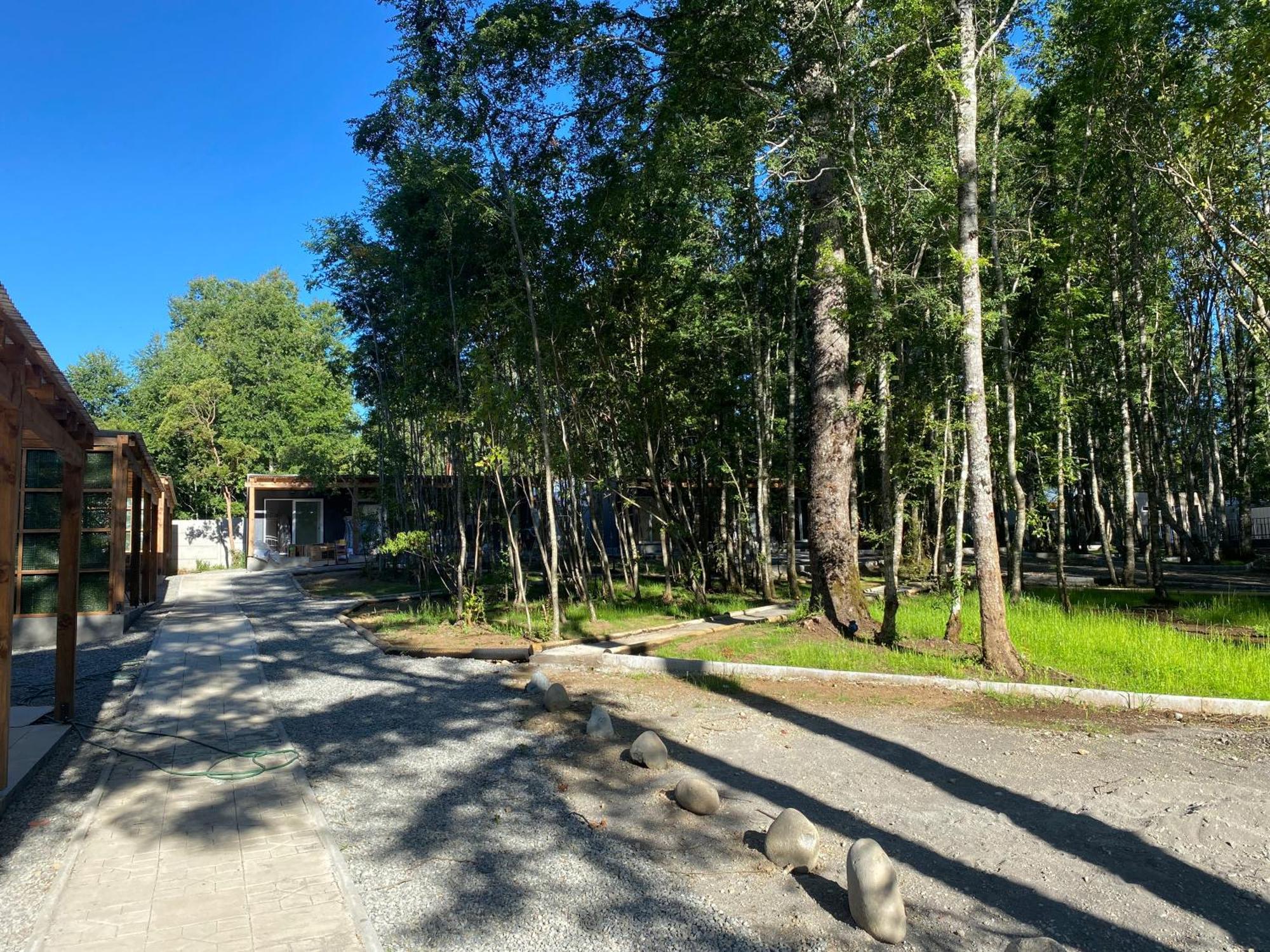 Boker Tov Pucon Hotel Luaran gambar