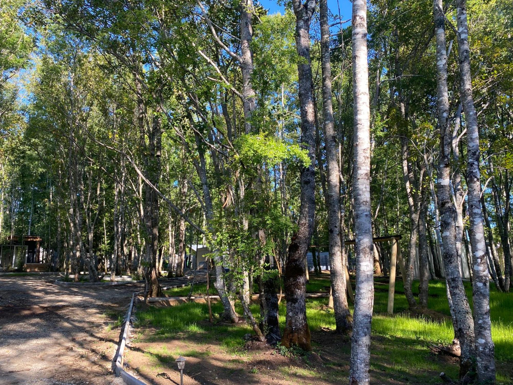 Boker Tov Pucon Hotel Luaran gambar