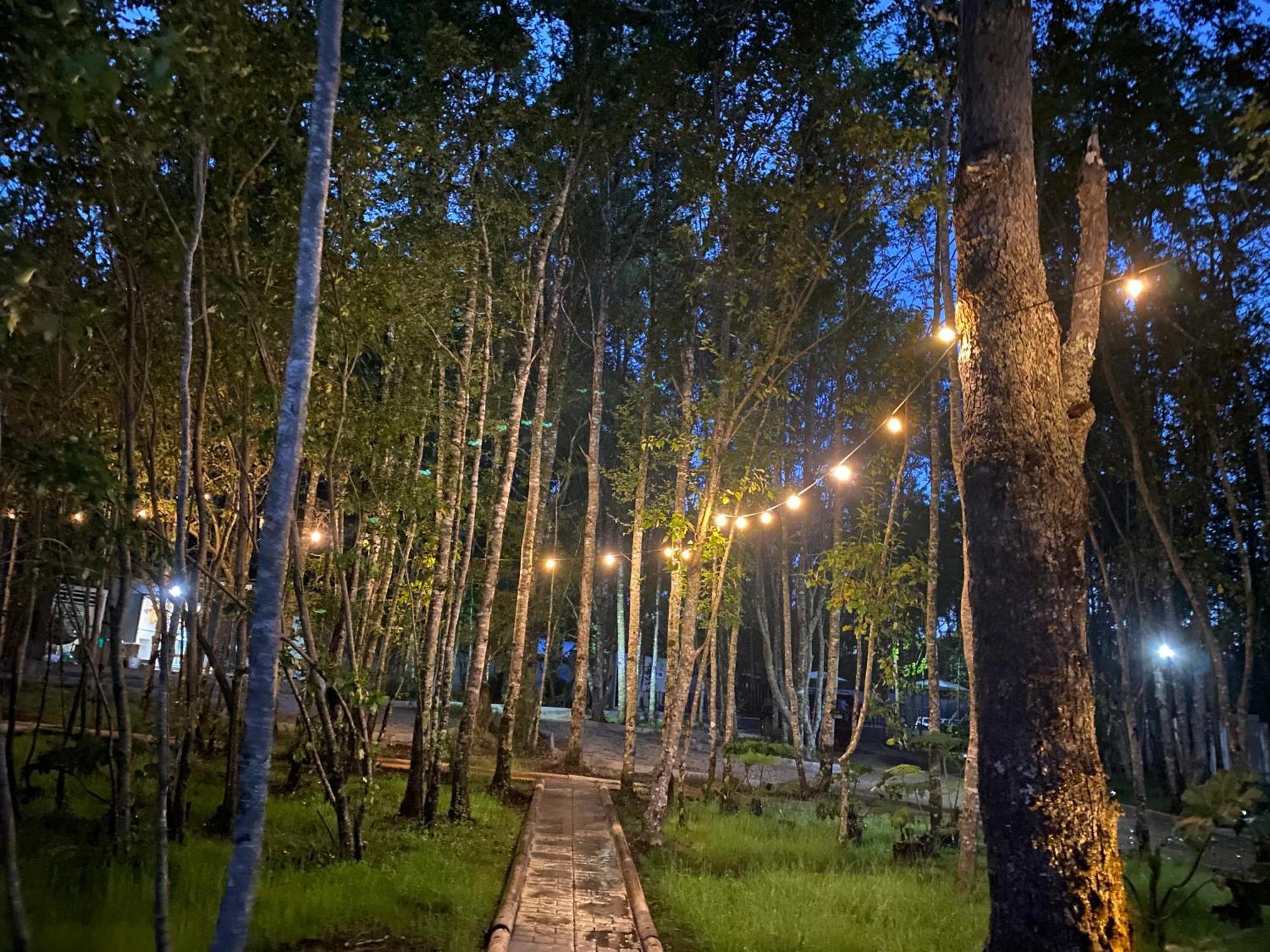 Boker Tov Pucon Hotel Luaran gambar