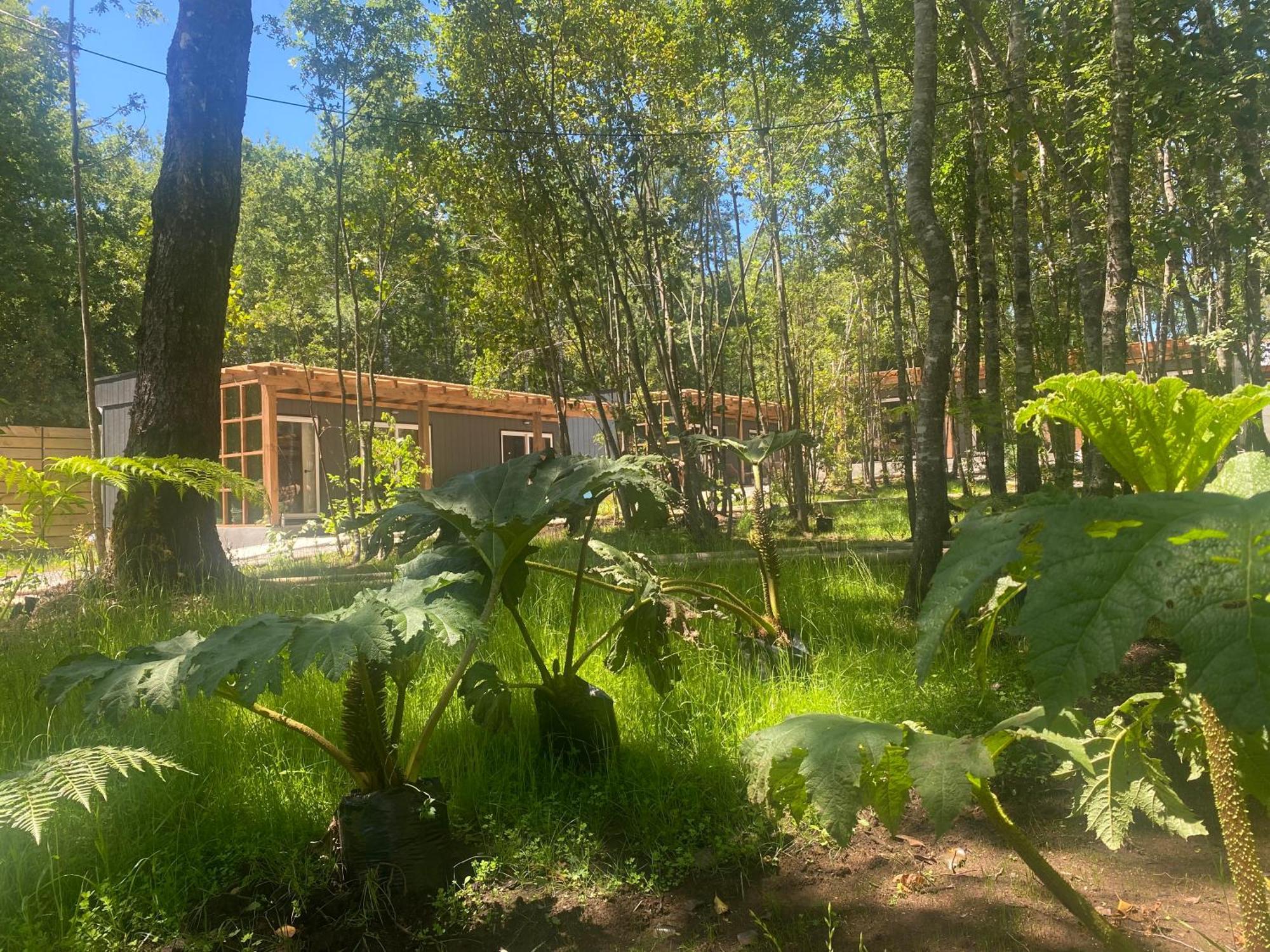Boker Tov Pucon Hotel Luaran gambar