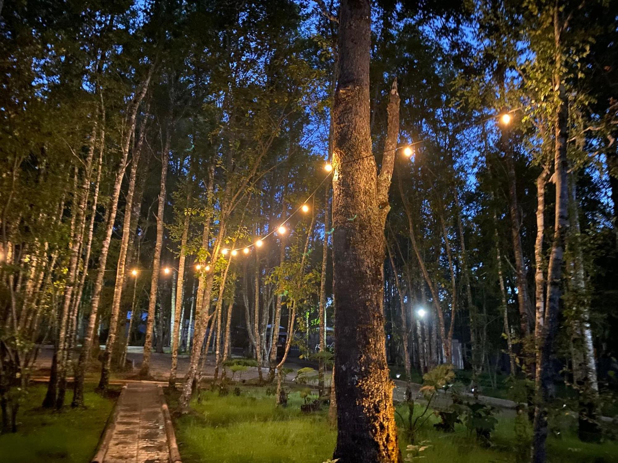 Boker Tov Pucon Hotel Luaran gambar
