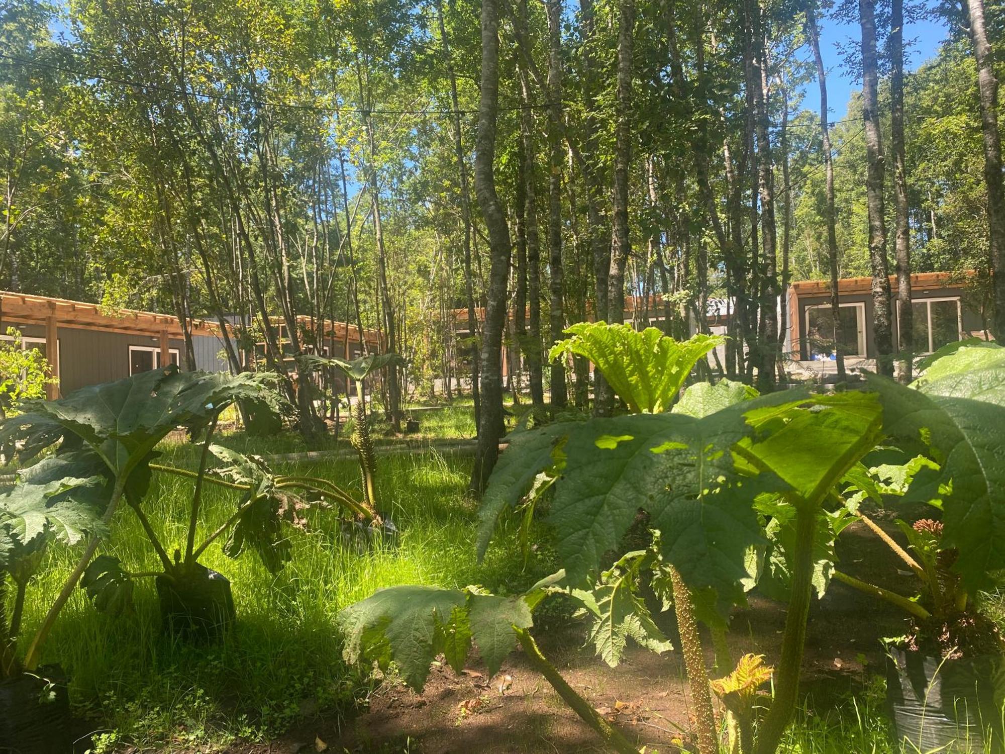 Boker Tov Pucon Hotel Luaran gambar